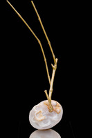Vanitas, 2021, onice, foglia d'oro e acciaio inox, cm20x20x70
